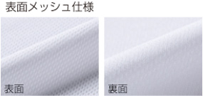 プリントの範囲内