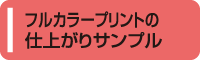 フルカラープリントの仕上がりサンプルはこちら