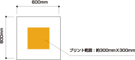 商品のサイズ